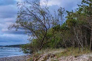 中超场均传球次数排名对照，中超场均观众人数