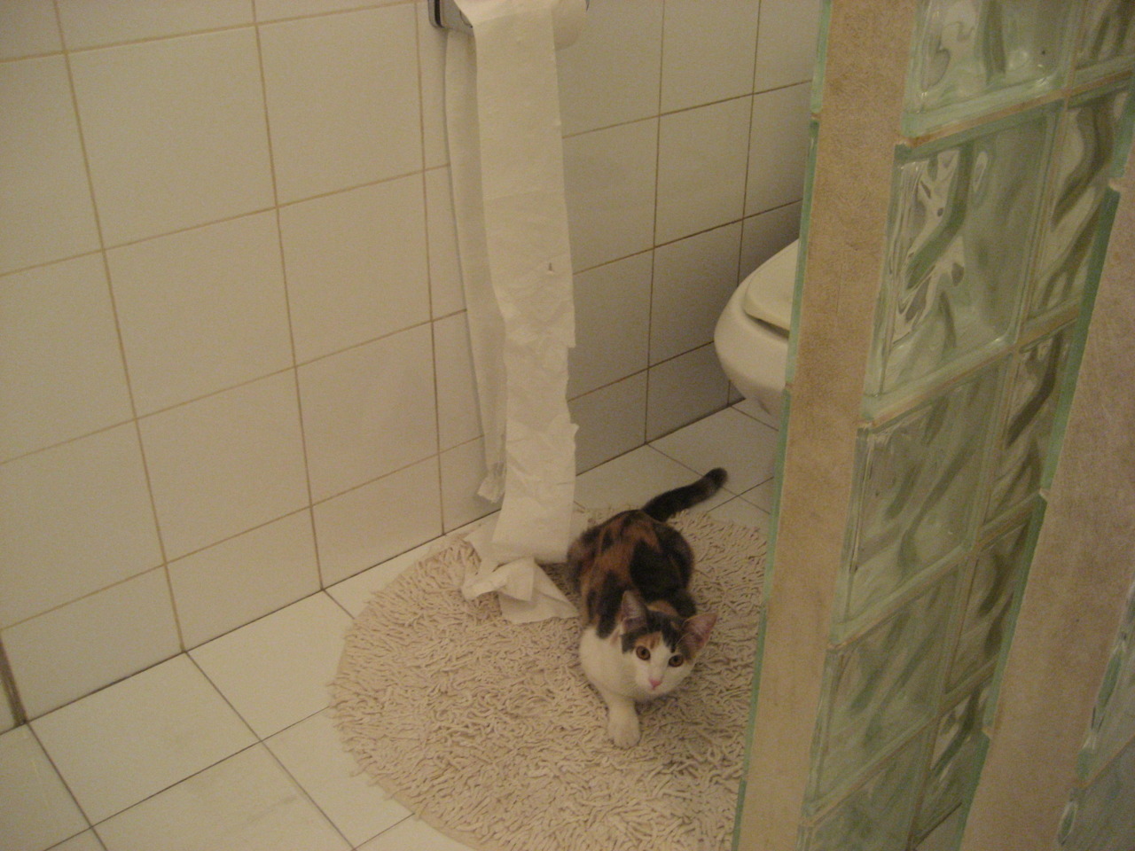 中超球队年度伤病发生率数据统计,中超球队盈利状况