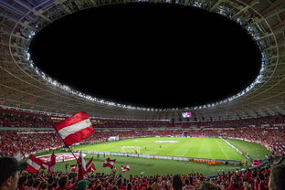 leyu乐鱼-U20世界杯即将开打 青少年足球受关注，u20世界杯2019