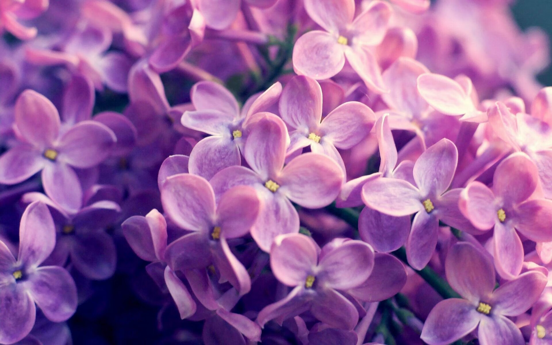 下载乐鱼体育APP-中国香港队赛制发展：如何优化整体团队战术应对复杂局面，香港的比赛