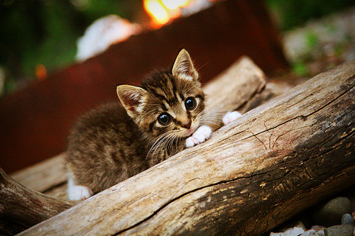 LEYU SPORTS中国官方网站-国家队出战亚洲杯 战平结局令人意外，亚洲杯对战名单