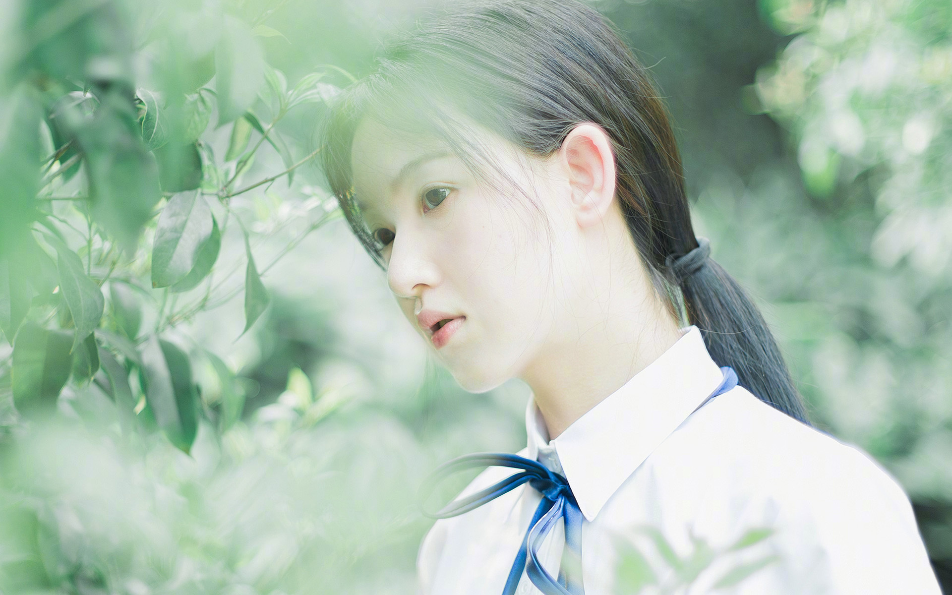 2026世界杯倒计时：新一代场馆设计令人期待！，2026世界杯扩容