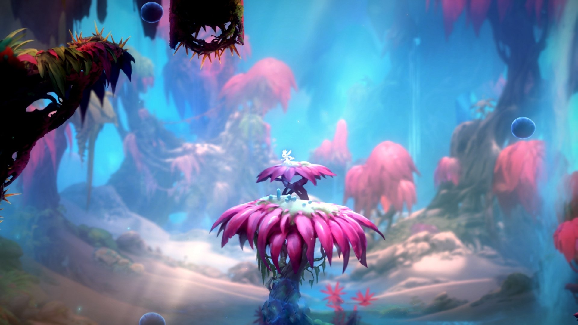 中国队赛后分享备赛经验,中国队比赛结束了吗