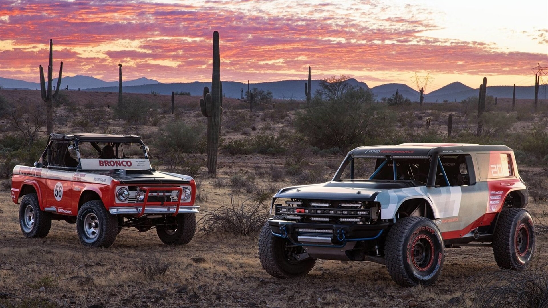 中立代表队B接力赛表现稳定获赞