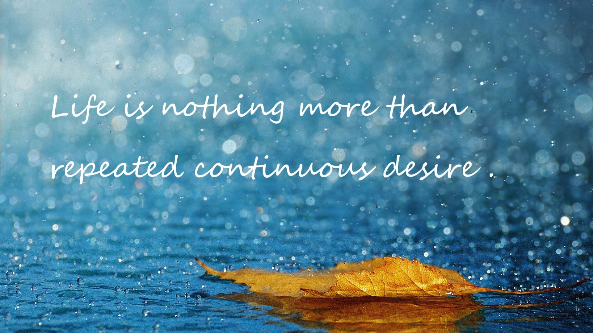 Leyu Sport下载-划频控制精准，节奏感明显增强，划幅和划频