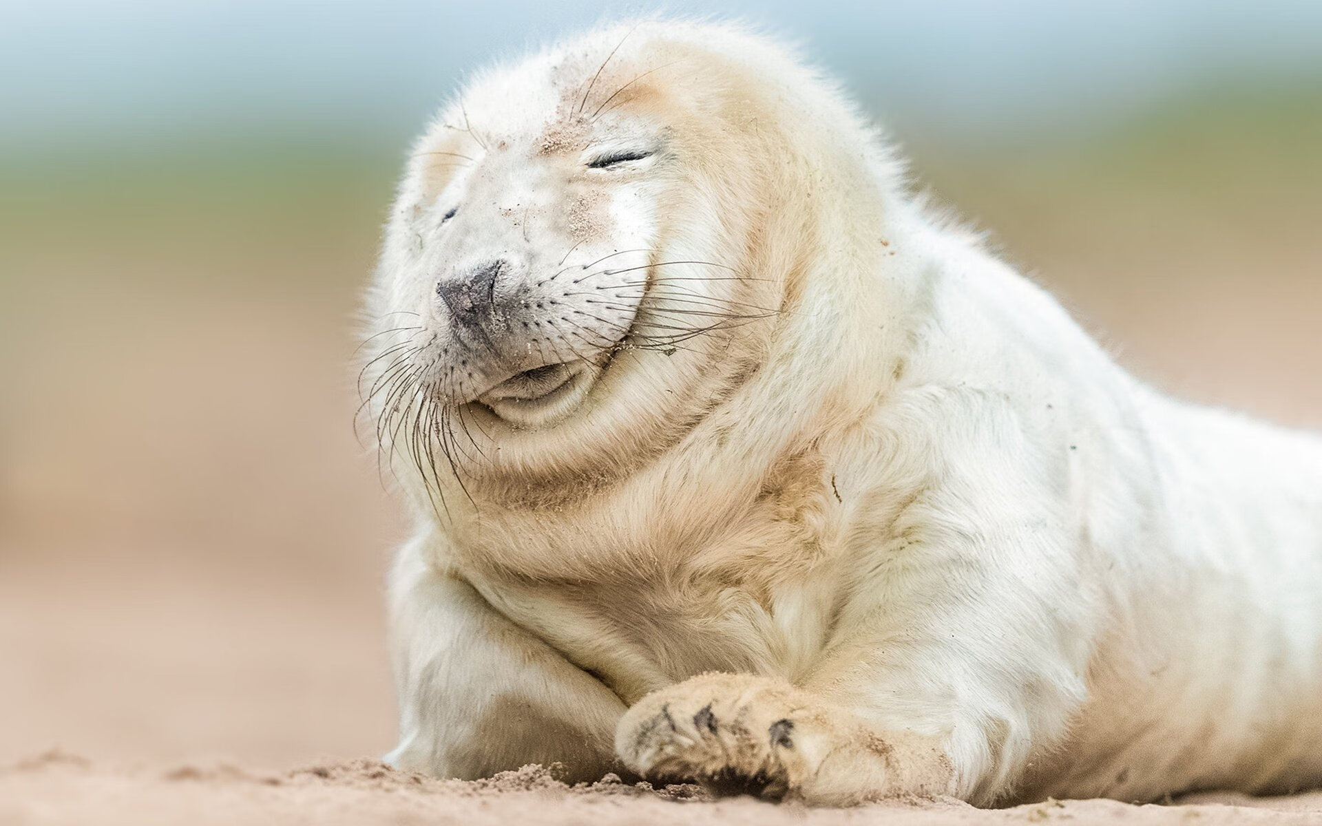 乐鱼体育平台app下载-叶夫根尼娅·奇库诺娃以实力回应所有挑战，叶夫根尼娅·格罗百科