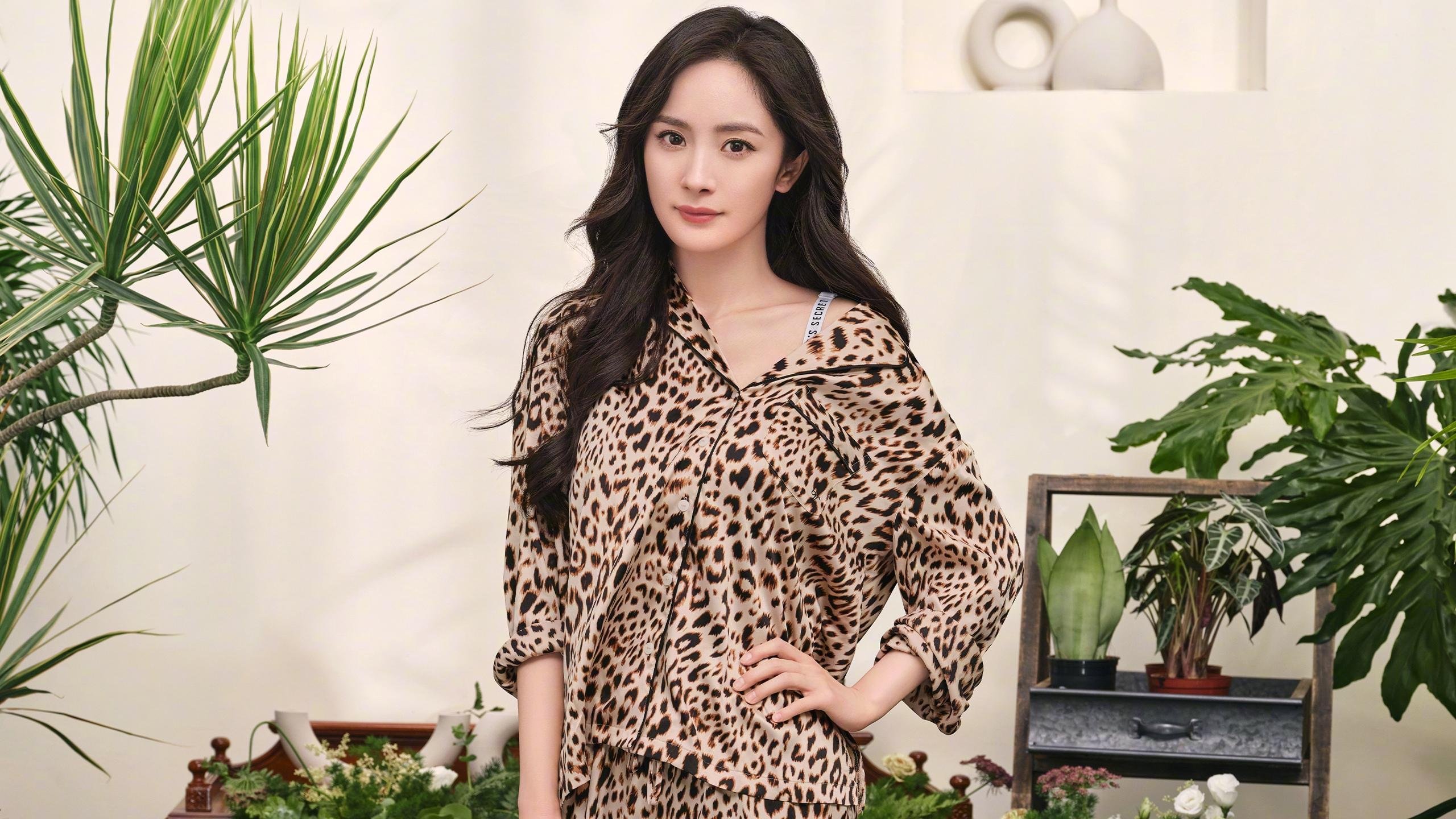 德甲快速反击:一瞬间撕开防线,德甲规则