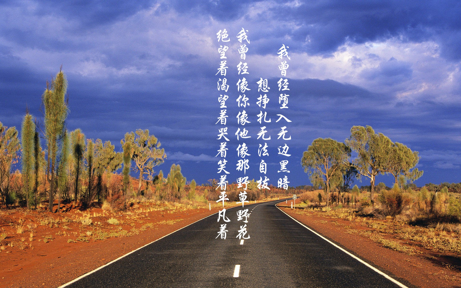 Leyu Sport登录入口-法甲青春崛起：新星闪耀，未来无限！