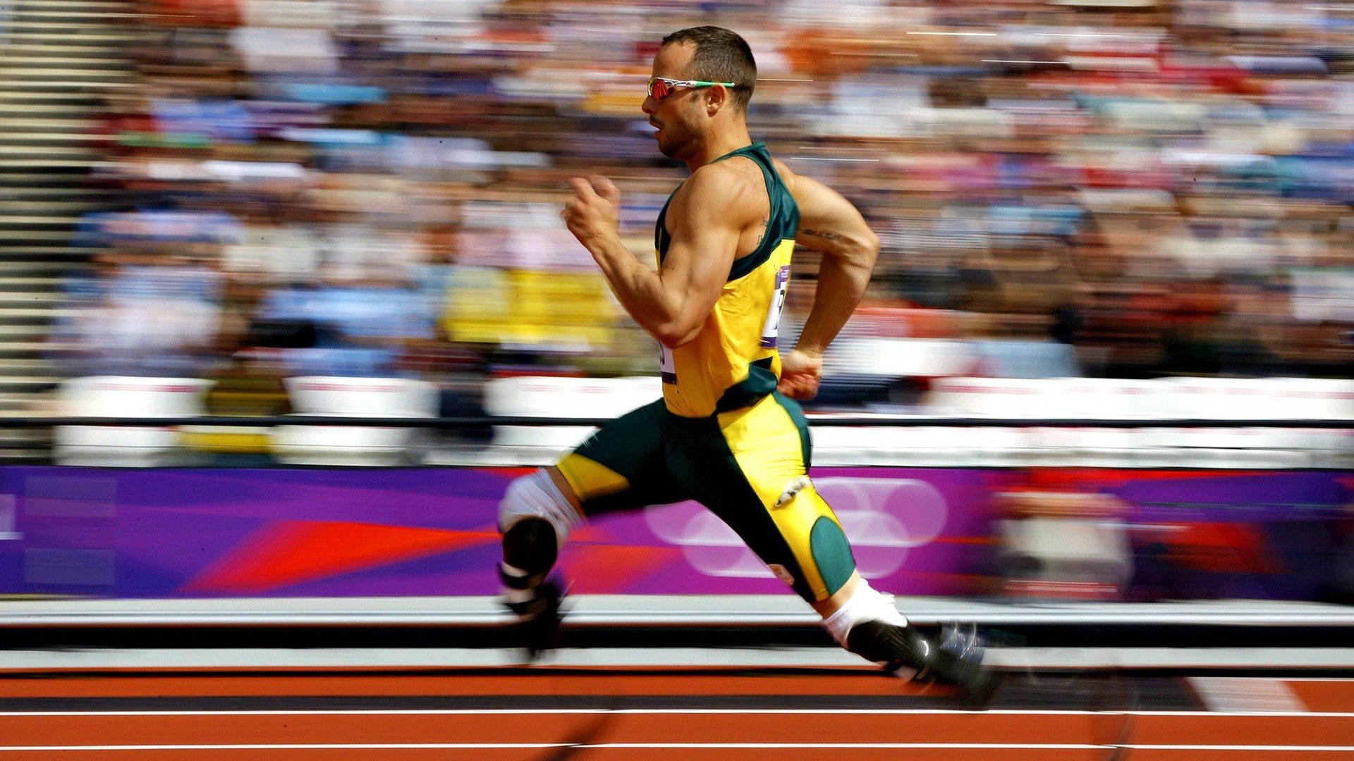 “拳击巅峰对决，四川省体育馆引爆全场！”